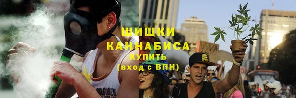 PSILOCYBIN Горнозаводск