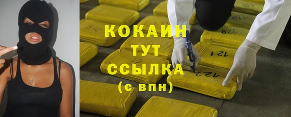 шишки Дмитров