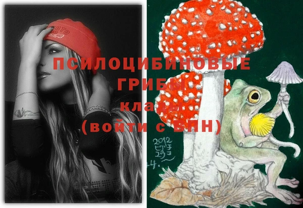 наркотики Дмитриев