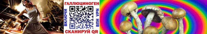Псилоцибиновые грибы мицелий  OMG tor  Калининград 