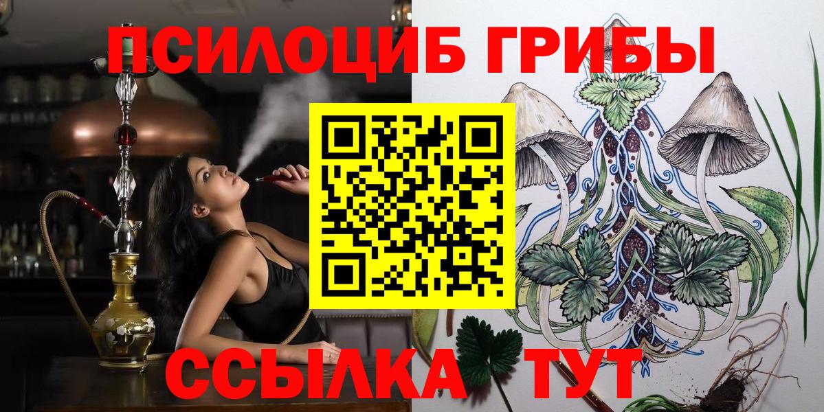 Псилоцибиновые грибы Psilocybe Калининград