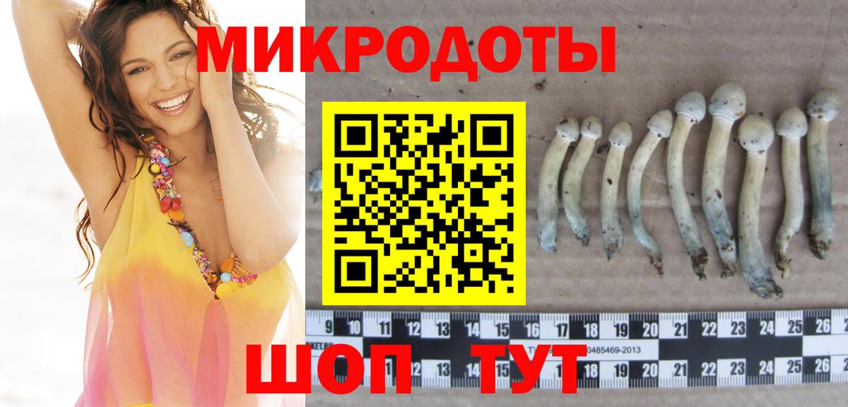 где купить наркоту  Псилоцибиновые грибы Cubensis  Вход с VPN  Псилоцибиновые грибы мицелий  Калининград 